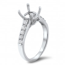 Cathedral Engagement Ring for 2.5 ct Center Stone