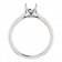 Platinum Solitaire Cathedral Ring